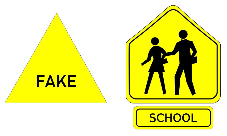 Fake School
