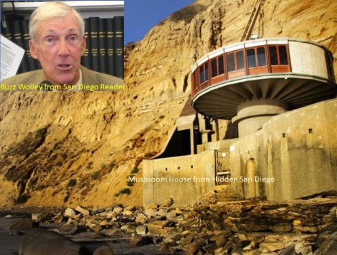 Buzz and The Mushroom House