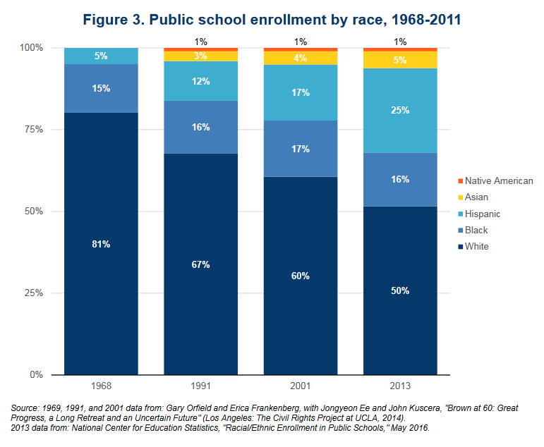 Public School Enrollment by Race Graphic